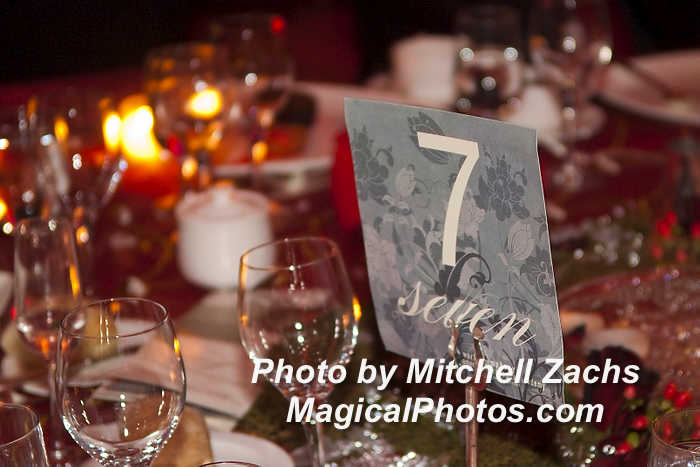 NWS_LoveGala09-3061122.JPG