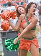 UM-NC2008-3328d