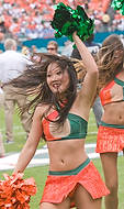 UM-NC2008-3363d