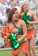UM-NC2008-3388d