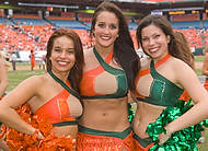 UM-NC2008-3698d
