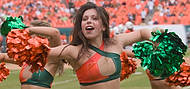 UM-NC2008-3738d