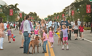 002-MiamiShores-0570