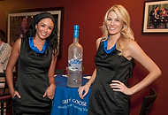 SBCF09-3120 - The Grey Goose Girls