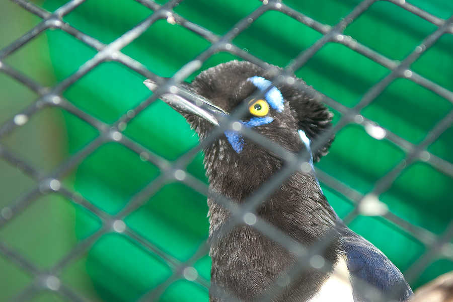 014-Zoolens.JPG