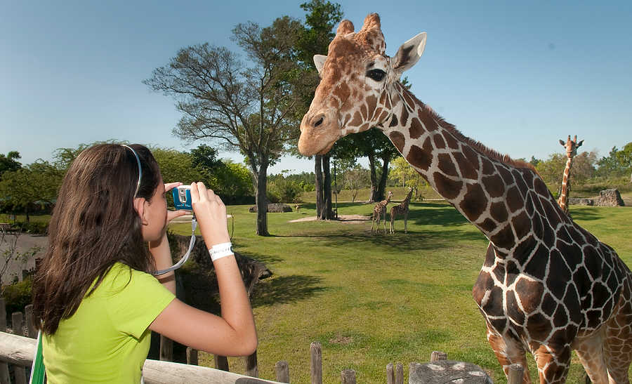 037-Zoolens.JPG