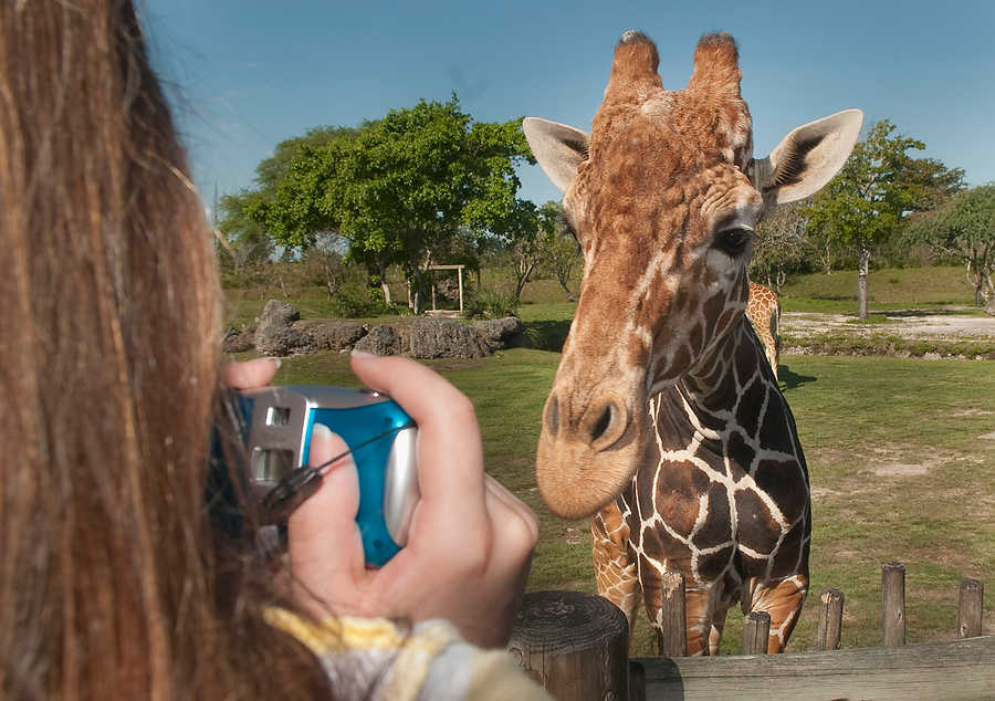 040-Zoolens.JPG