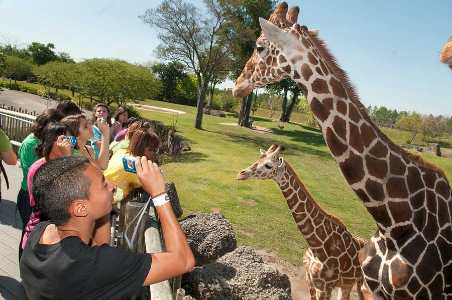 057-Zoolens.JPG