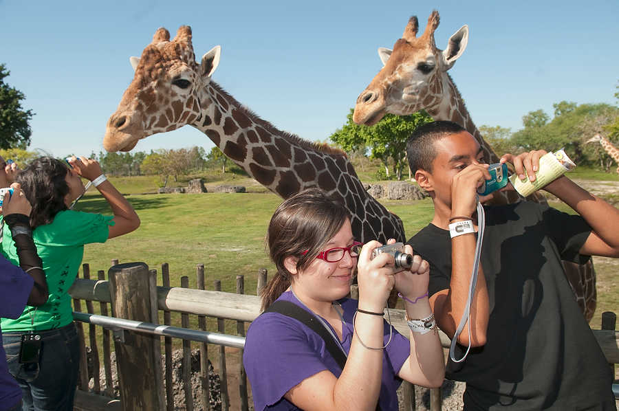 058-Zoolens.JPG