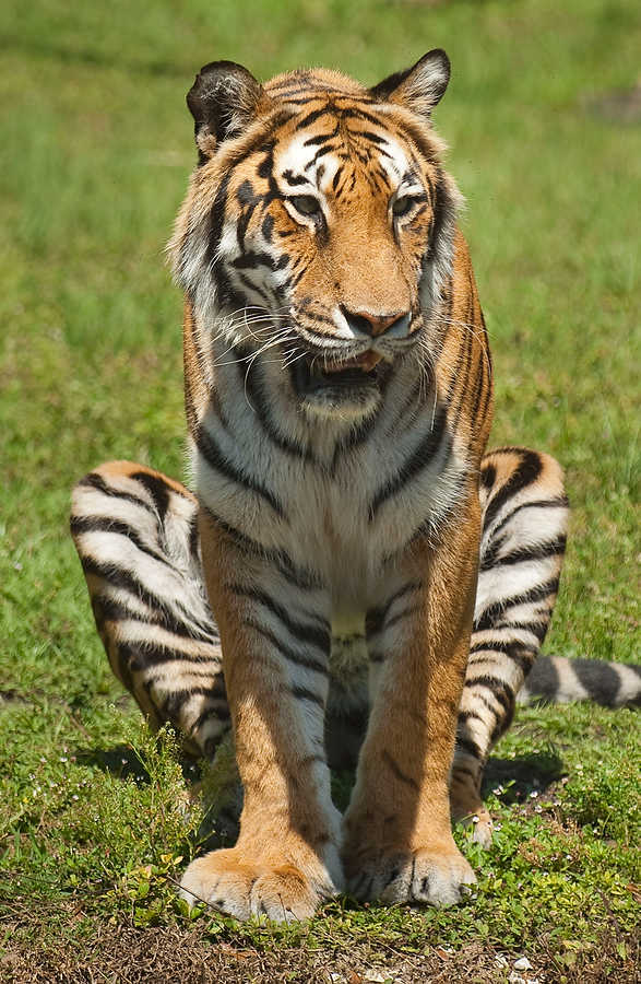 095-Zoolens.JPG