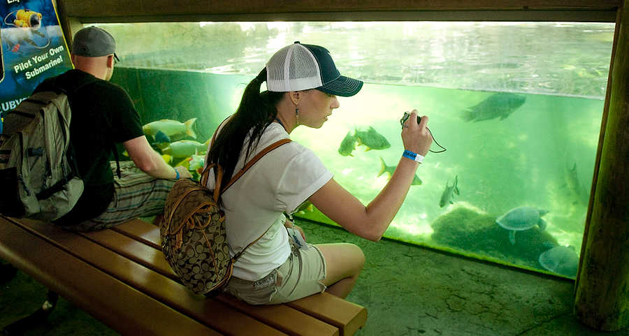 131-Zoolens.JPG