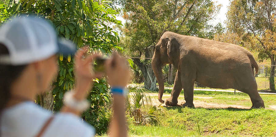 138-Zoolens.JPG