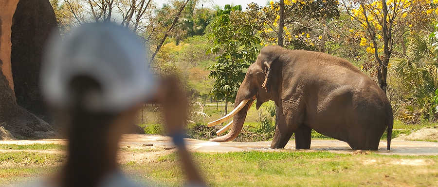 139-Zoolens.JPG