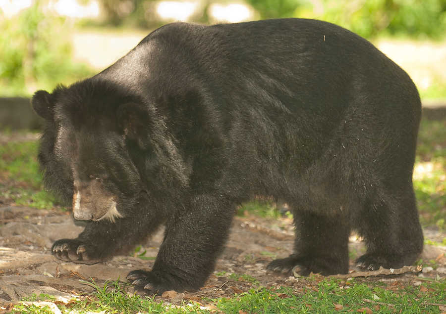 150-Zoolens.JPG