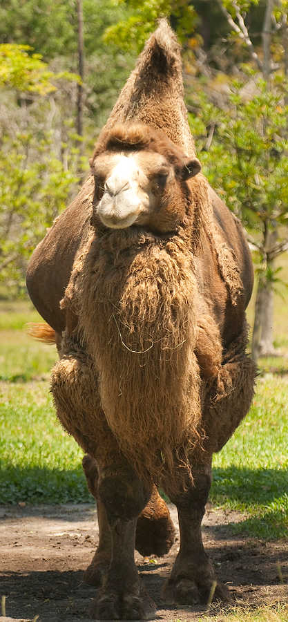 154-Zoolens.JPG