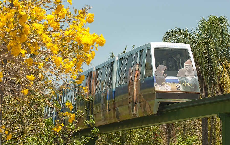 156-Zoolens.JPG