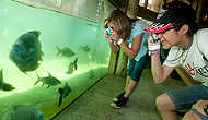 133-Zoolens-sm - 