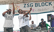 301-ZSG09-2047  