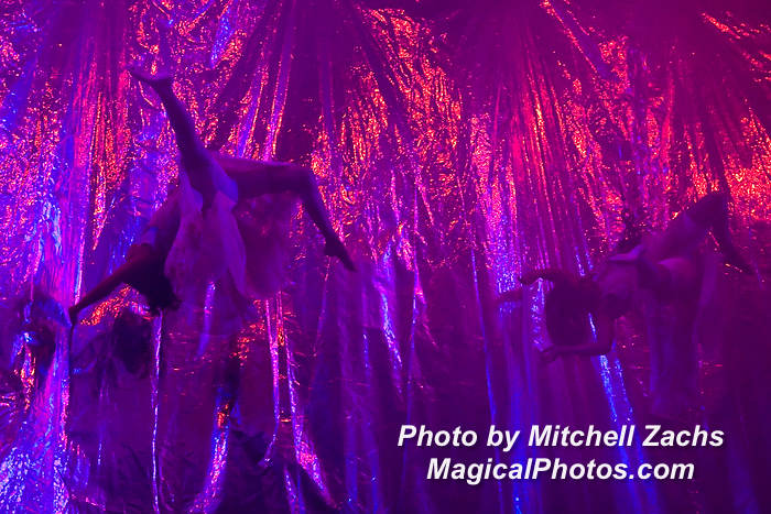 296-FuerzaBrutaOpeningNight.JPG