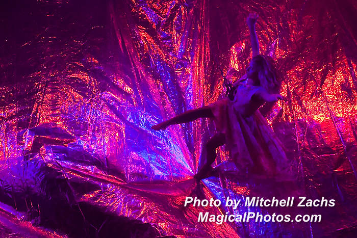 297-FuerzaBrutaOpeningNight.JPG