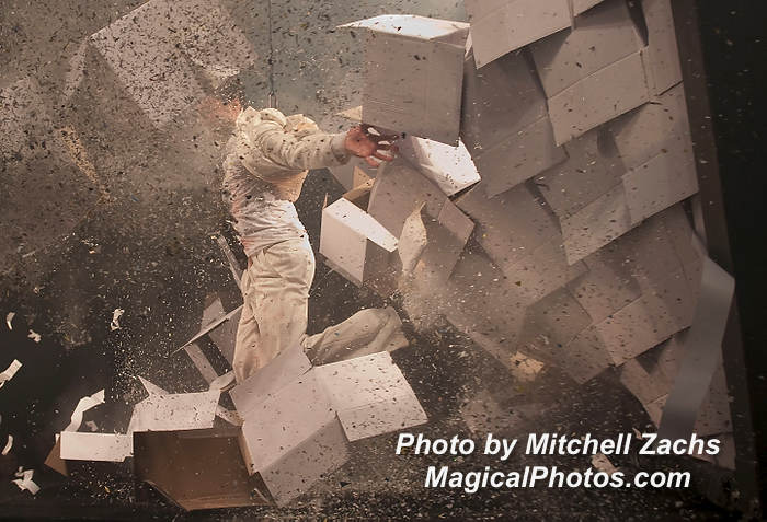 307-FuerzaBrutaOpeningNight.JPG