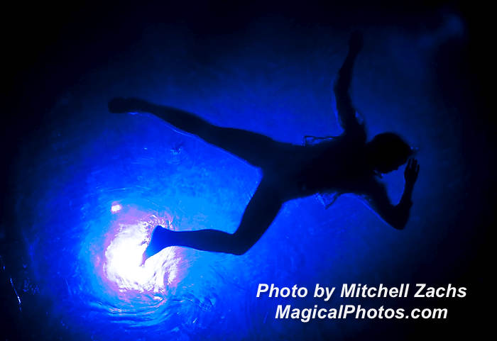 333-FuerzaBrutaOpeningNight.JPG