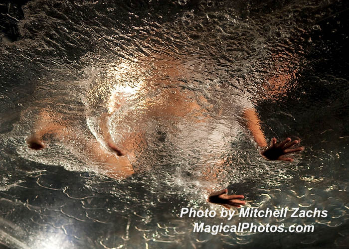 338-FuerzaBrutaOpeningNight.JPG