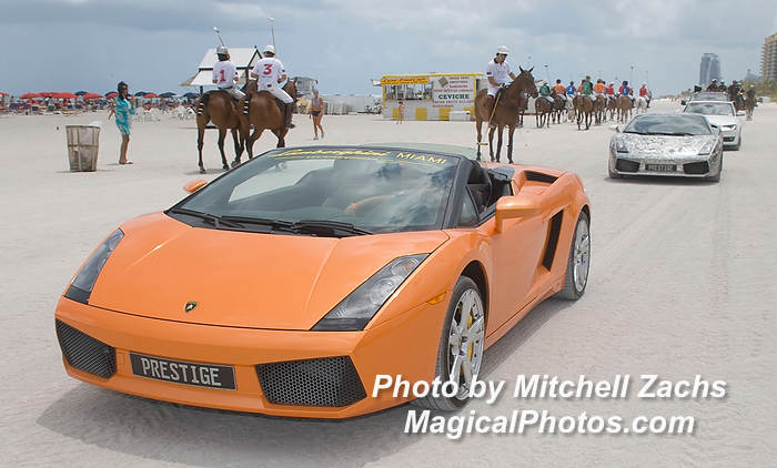 Polo08-2392.JPG