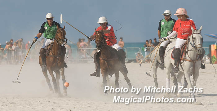 Polo08-5525.JPG