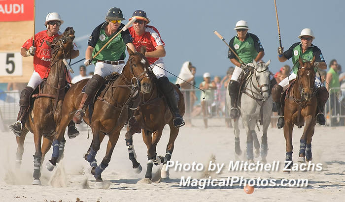 Polo08-5548.JPG