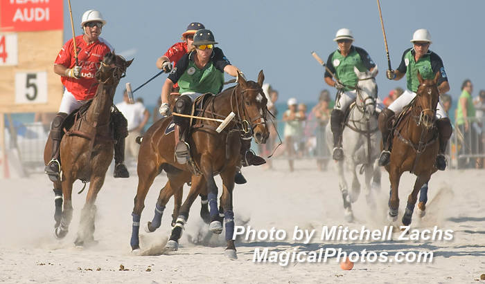 Polo08-5549.JPG