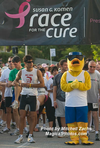 Cure-9331.JPG